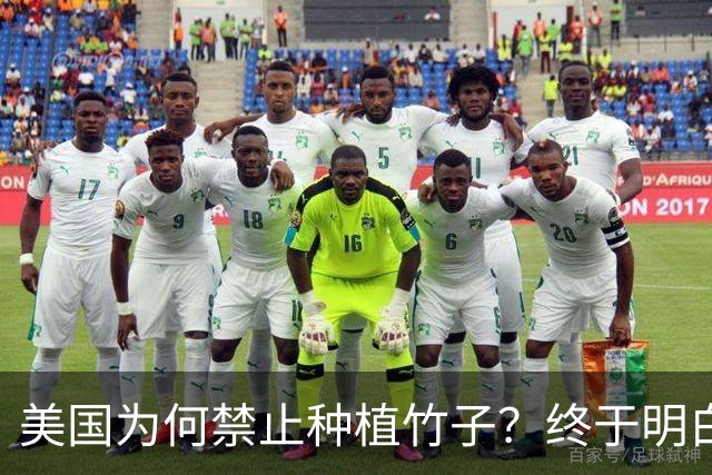 美国为何禁止种植竹子？终于明白，原来竹子比我们想象的更可怕